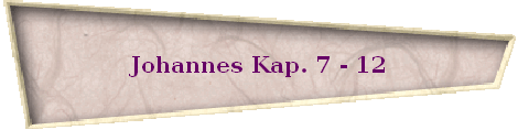 Johannes Kap. 7 - 12